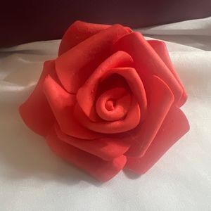 Meet your Posher, Solimar